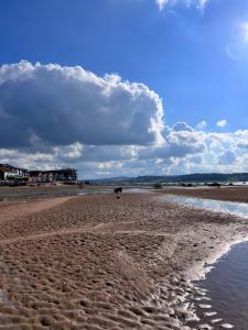 a sandy beach with footprints in the sand at Sandy feet retreat in Exmouth +42 photos