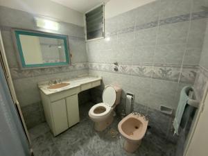 La salle de bains est pourvue d'un lavabo, de toilettes et d'un miroir. dans l'établissement Vista a Montevideo, à Montevideo