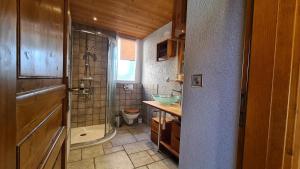 a bathroom with a shower and a sink and a toilet at Chez Pewee, beau duplex en ville, parc privé in Martigny-Ville