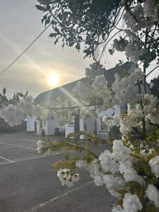 Φυσικό τοπίο κοντά σε αυτό το ξενοδοχείο