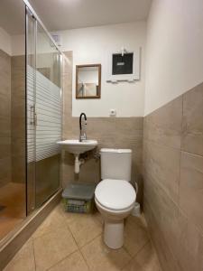 łazienka z toaletą i umywalką w obiekcie Chatky U Davida Máchovo jezero w mieście Doksy