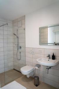 La salle de bains est pourvue de toilettes, d'un lavabo et d'une douche. dans l'établissement Design Apartment Alpenvorstadt, à Holzkirchen