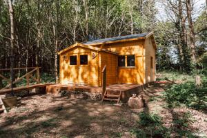 a small wooden cabin in the middle of a forest at Cabane insolite avec escape game in Saint-Évarzec