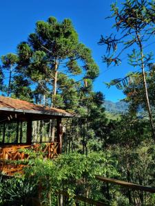 a cabin in the woods with trees in the background at Casa Araucária in Visconde De Maua