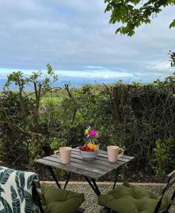 a picnic table with a bowl of fruit and two cups at Plumgrove Pod Easkey in Sligo