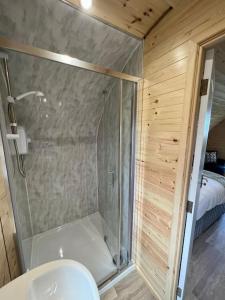 a bathroom with a glass shower and a toilet at Plumgrove Pod Easkey in Sligo