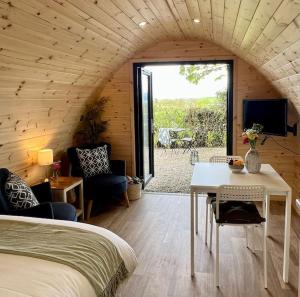 Μια τηλεόραση ή/και κέντρο ψυχαγωγίας στο Plumgrove Pod Easkey