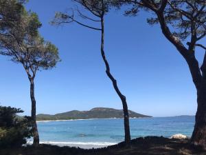 Fotografia z galérie ubytovania LAGOON - Porto-Vecchio port - 4-6 pers - piscine - Cita di Sali v destinácii Porto-Vecchio