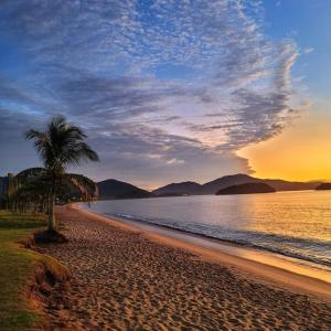 einen Strand mit einer Palme und dem Meer in der Unterkunft A Ver o Mar Beach House in Caraguatatuba