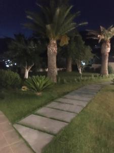 a walkway in a park with palm trees at night at erato1 in Plakias