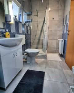 uma casa de banho com um WC, um lavatório e um chuveiro em Apartment and rooms Corina em Bilje
