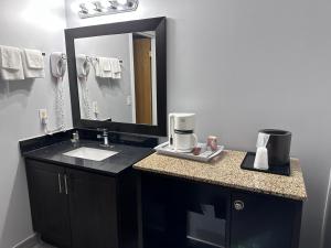 a bathroom with a sink and a mirror at Kenora Motel in Windsor