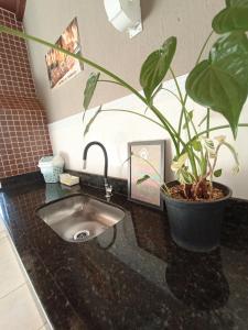 ein Waschbecken mit einer Topfpflanze auf der Theke in der Unterkunft Casa Temporada BV Capitolio in Capitólio