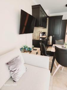 Kuchyňa alebo kuchynka v ubytovaní Ekskluzywny Apartament GOLD Gardenia Dziwnów z widokiem na morze trzecie piętro 1 pokojowy EPapartamenty