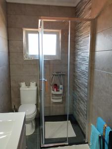 łazienka z prysznicem, toaletą i oknem w obiekcie Casa dos avós w mieście Canas de Senhorim