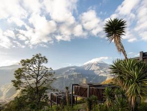 una palmera frente a una montaña en Deluxe volcán Primeras suites colgantes del mundo en Baños