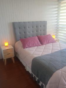 una camera da letto con un grande letto con cuscini rosa di Departamento Santiago Centro a Santiago