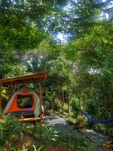 a tent pitched under a canopy in a forest at Entre Arboles Cali in Cali