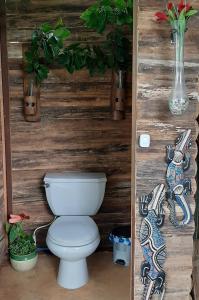 卡利的住宿－Entre Arboles Cali，木墙内白色的厕所,种植了植物