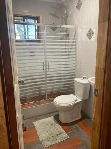 a bathroom with a toilet and a glass shower at Cabaña del bosque con estero in Curiñanco