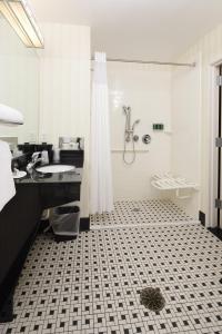 a bathroom with a shower and a sink and a toilet at Fairfield Inn & Suites by Marriott Millville Vineland in Millville