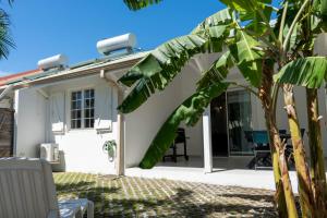 ein weißes Haus mit einer Palme davor in der Unterkunft La Villa Noémie - Parking - Proche des Plages in Sainte-Anne