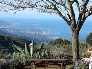 Santa-Maria-FiganiellaにあるGîtes ruraux Aria Falconaの木の下に座って眺めの良い木製ベンチ