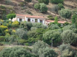 a house on the side of a hill with trees at Gîtes ruraux Aria Falcona in Santa-Maria-Figaniella