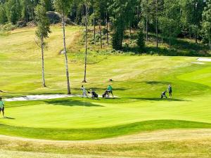 grupa ludzi grających w golfa na polu golfowym w obiekcie Holiday home JERNA w mieście Järna