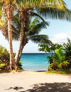 two palm trees on a beach with the ocean at Breezy Beachfront Bali-Style Haven 180 Degree OceanView in Hauula