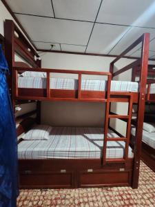 Letto o letti in una camera di Fenix Hotel & Hostel