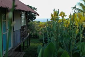 a house and a garden with yellow flowers at Palhoça da Colina in Fernando de Noronha