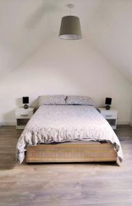 a bedroom with a bed and two night stands at Secluded Modern Guest House in Castletown Gheoghegan