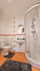 y baño con ducha, aseo y lavamanos. en Senču apartamenti No.6, en Riga
