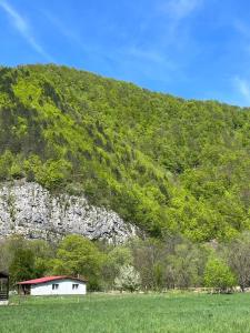 a house in a field next to a mountain at Casa Bulz in Bulz