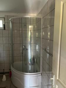 a bathroom with a shower and a bath tub at Casa Bulz in Bulz