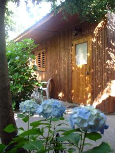a wooden cabin with blue flowers in front of it at Fiori D'Arancio in Piano di Sorrento