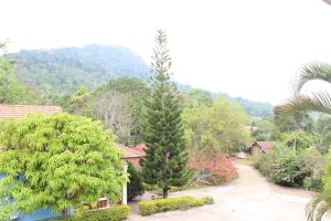 vistas a un jardín con 2 pinos en Theokhame Guest House & Hotel, en Ban Tayun