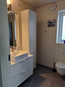 a bathroom with a sink and a toilet at Villa-Amby in Ringkøbing