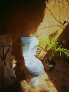 a toilet sitting in a bathroom with a plant at Playa Paraiso Nagtabon Beach in Bacungan