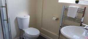 a bathroom with a white toilet and a sink at Parcview #2 in Stornoway +14 photos
