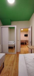 Bolnisi的住宿－Guest House Bolnisi - Duplex apartment，一间设有绿色天花板和镜子的客房
