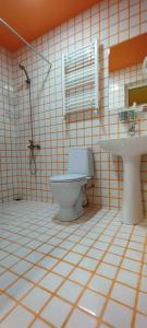 Bolnisi的住宿－Guest House Bolnisi - Duplex apartment，一间带卫生间和水槽的浴室