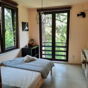 1 dormitorio con 1 cama y ventanas grandes en "Whispering pines" vacation home, close to Sofia, en Gola Glava