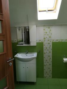 uma casa de banho verde com um lavatório e um chuveiro em Casa Bran em Buşteni