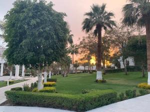 um parque com palmeiras e relva verde em Monte Carlo Sharm Resort & Spa em Sharm El Sheikk