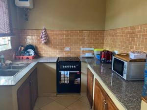 a kitchen with a stove and a sink in it at Hein apartment in Arusha