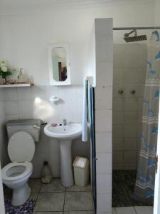 une salle de bains avec toilettes et lavabo dans l'établissement Jacobs Cottage by the Ocean, à Port Shepstone