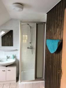 ein Bad mit einer Dusche und einem Waschbecken in der Unterkunft (2) Spiekeroog in Dornum