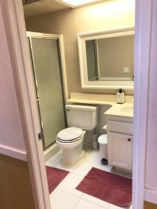 a bathroom with a toilet and a sink and a mirror at Harvest moon room with TV near Wine Country in Hemet